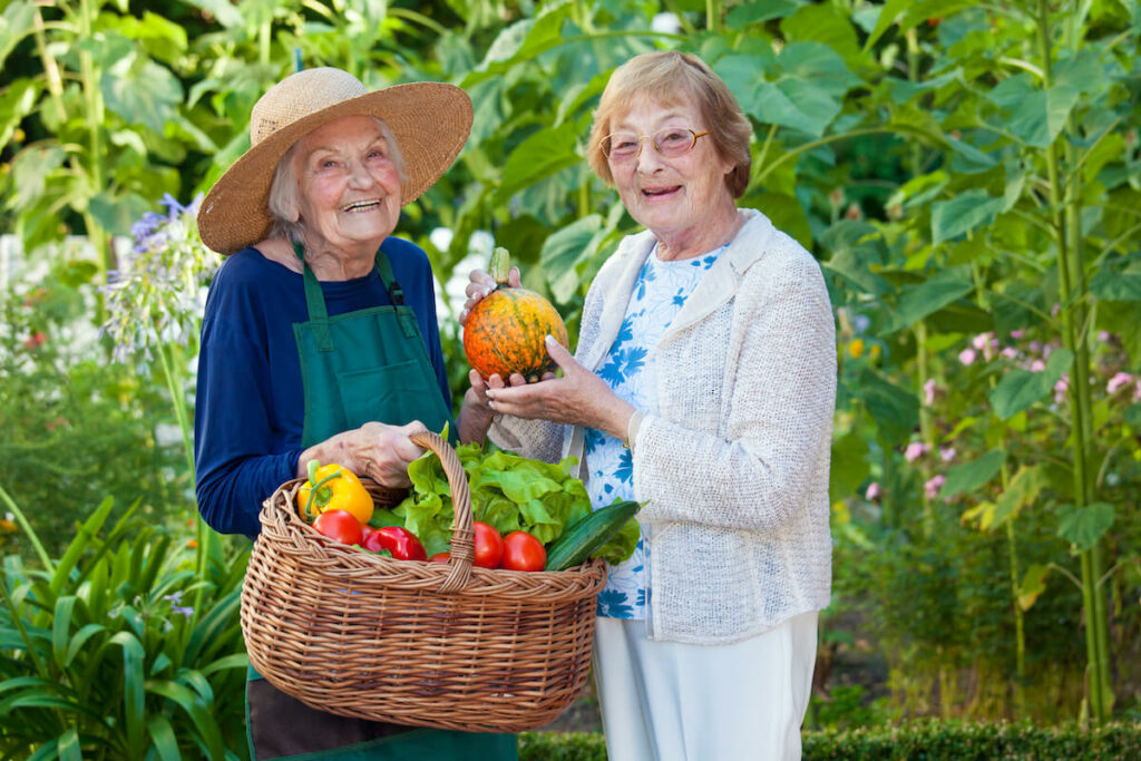 The Philomena | Seniors picking from a garden