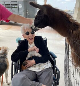 The Philomena | Happy senior enjoying the Easter petting zoo event at the community